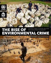 Cover image for The rise of environmental crime: a growing threat to natural resources, peace, development and security