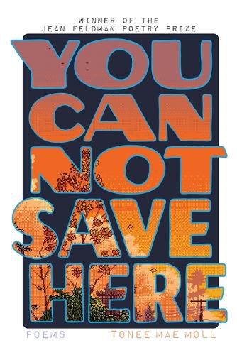 Cover image for You Cannot Save Here