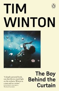 Cover image for The Boy Behind the Curtain