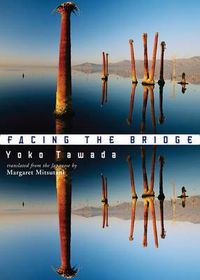 Cover image for Facing the Bridge