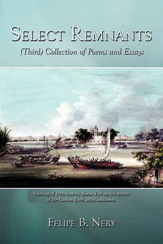 Cover image for Select Remnants