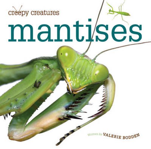 Cover image for Creepy Creatures: Mantises