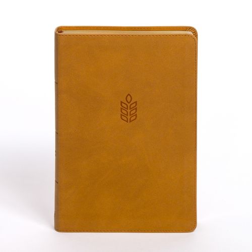 Cover image for CSB Personal Size Giant Print Bible, Camel Suedesoft Leathertouch