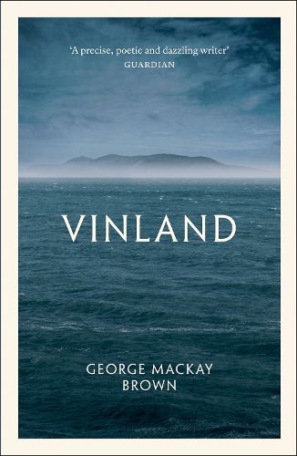 Cover image for Vinland