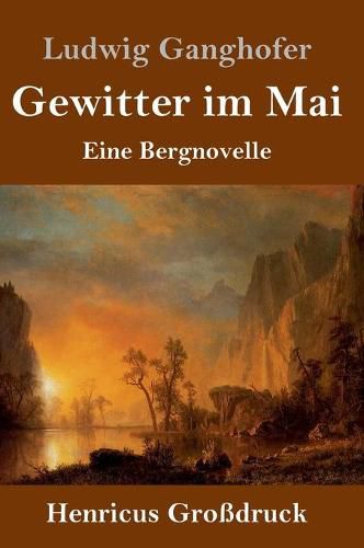 Gewitter im Mai (Grossdruck): Eine Bergnovelle