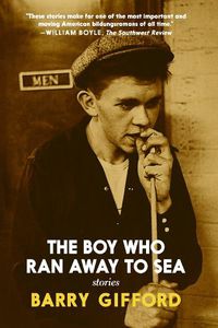 Cover image for The Boy Who Ran Away To Sea