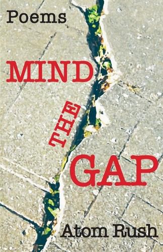 Cover image for Mind the Gap