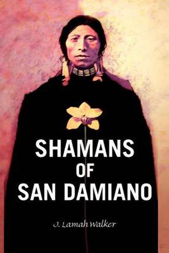 Cover image for Shamans of San Damiano