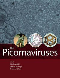 Cover image for The Picornaviruses