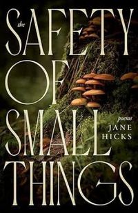 Cover image for The Safety of Small Things