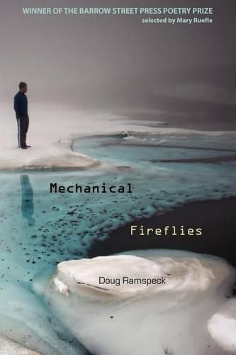 Cover image for Mechanical Fireflies