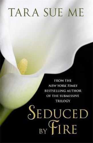 Cover image for Seduced By Fire: A Partners In Play Novel