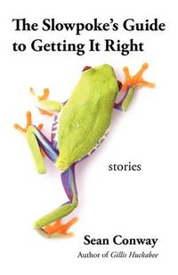 Cover image for The Slowpoke's Guide to Getting It Right: Stories