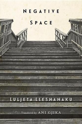 Cover image for Negative Space