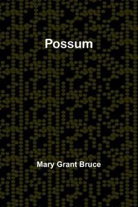 Cover image for Possum