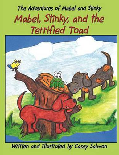 Cover image for The Adventures of Mabel and Stinky: Mabel, Stinky, and the Terrified Toad