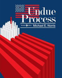 Cover image for Undue Process: Taking the Law Out of Law Enforcement