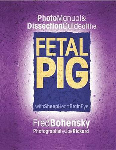 Cover image for Fetal Pig: Photomanual and Dissection Guide