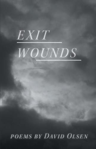 Cover image for Exit Wounds