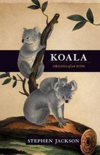 Cover image for Koala: Origins of an icon