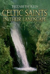 Cover image for Celtic Saints In Their Landscape