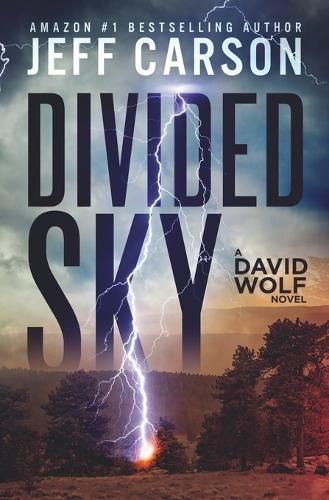 Cover image for Divided Sky