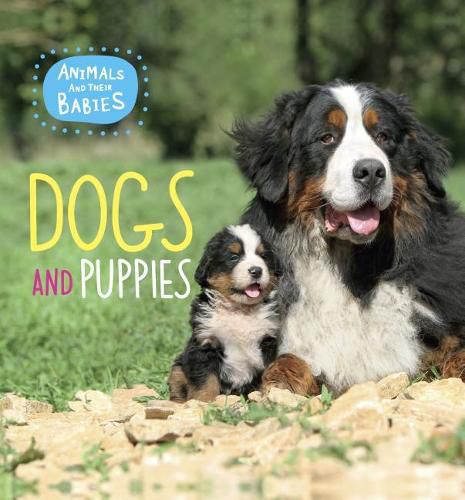 Cover image for Dogs and Puppies