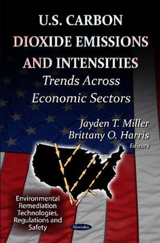 Cover image for U.S Carbon Dioxide Emissions & Intensities: Trends Across Economic Sectors