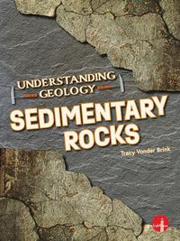 Cover image for Sedimentary Rocks