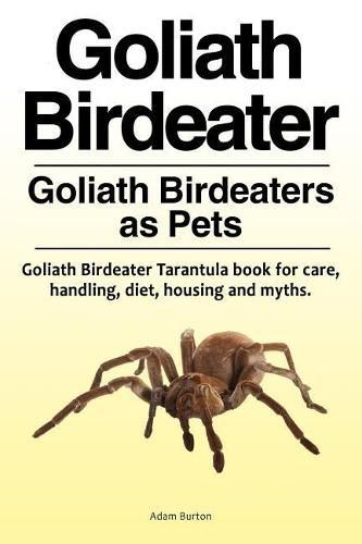 Cover image for Goliath Birdeater . Goliath Birdeaters as Pets. Goliath Birdeater Tarantula book for care, handling, diet, housing and myths.