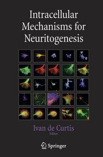 Cover image for Intracellular Mechanisms for Neuritogenesis