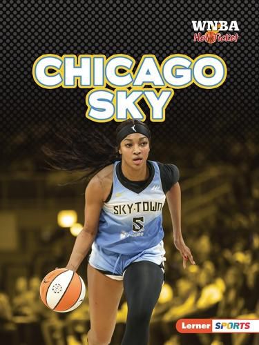 Cover image for Chicago Sky
