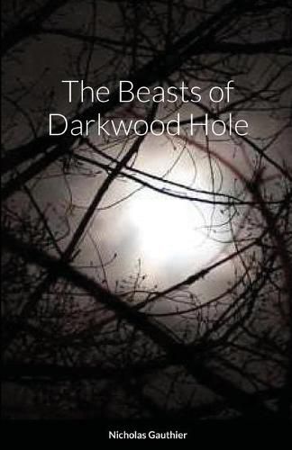 Cover image for The Beasts of Darkwood Hole