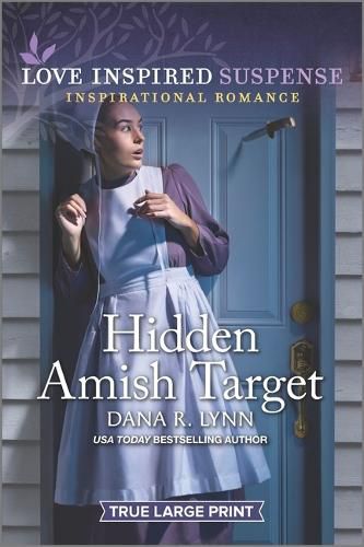 Cover image for Hidden Amish Target