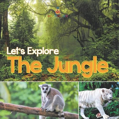 Cover image for Let's Explore the Jungle