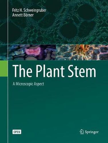 The Plant Stem: A Microscopic Aspect