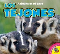 Cover image for Los Tejones