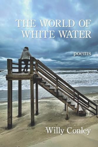 Cover image for The World of White Water