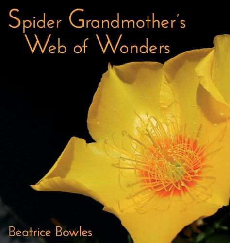 Cover image for Spider Grandmother's Web of Wonders