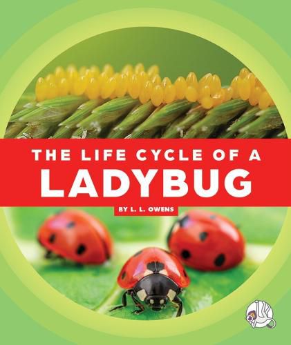 Cover image for The Life Cycle of a Ladybug