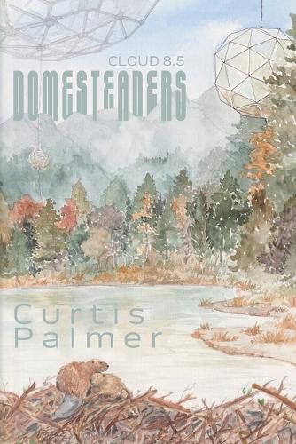 Cover image for Domesteaders