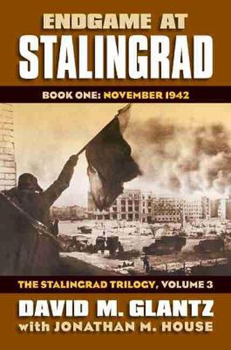 Cover image for Endgame at Stalingrad: The Stalingrad Trilogy, Volume 3: Book One: November 1942