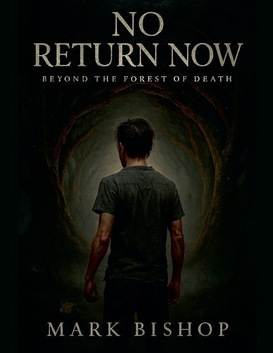 Cover image for No Return Now