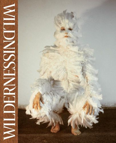 Cover image for Wilderness