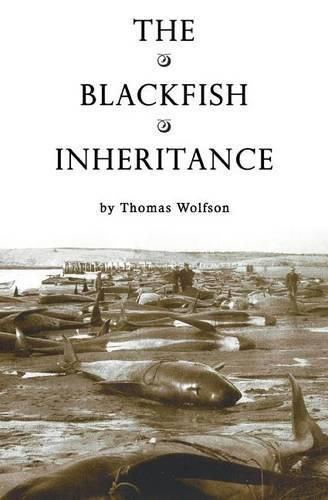 Cover image for The Blackfish Inheritance