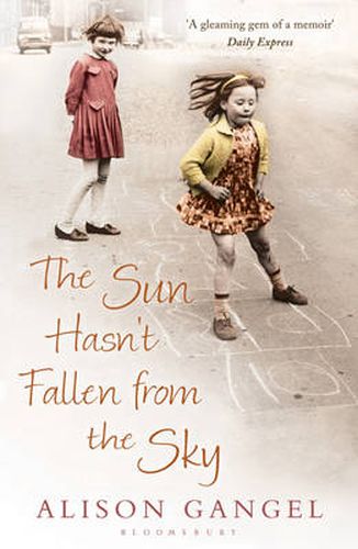 Cover image for The Sun Hasn't Fallen From the Sky