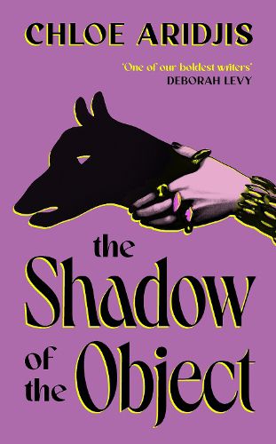 Cover image for The Shadow of the Object