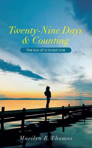 Cover image for Twenty-Nine Days & Counting