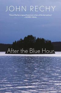 Cover image for After the Blue Hour