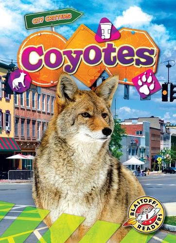 Cover image for Coyotes